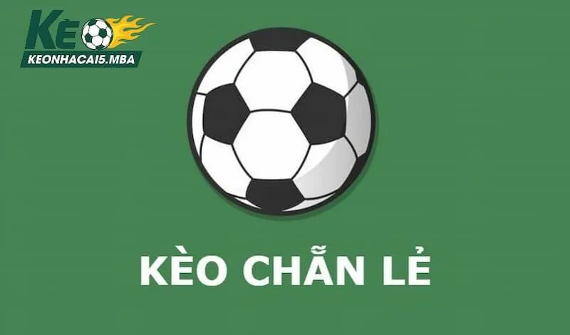 Kèo chẵn lẻ là gì cùng kinh nghiệm chơi hiệu quả